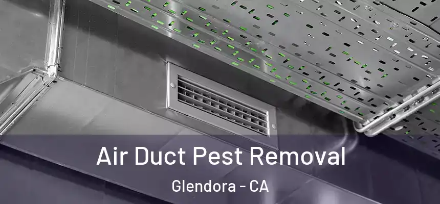  Air Duct Pest Removal Glendora - CA