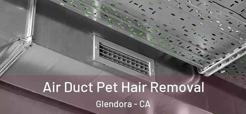  Air Duct Pet Hair Removal Glendora - CA