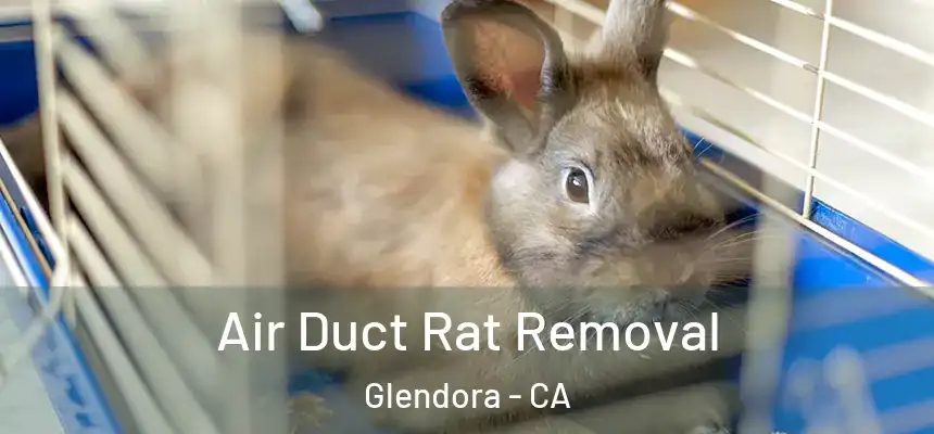  Air Duct Rat Removal Glendora - CA
