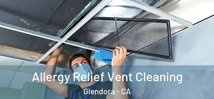 Allergy Relief Vent Cleaning Glendora - CA
