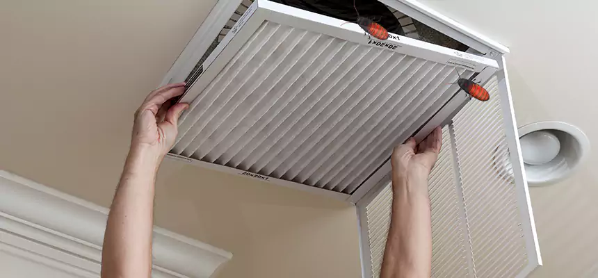 Preventive Cockroach-Proofing for Ducts in Glendora