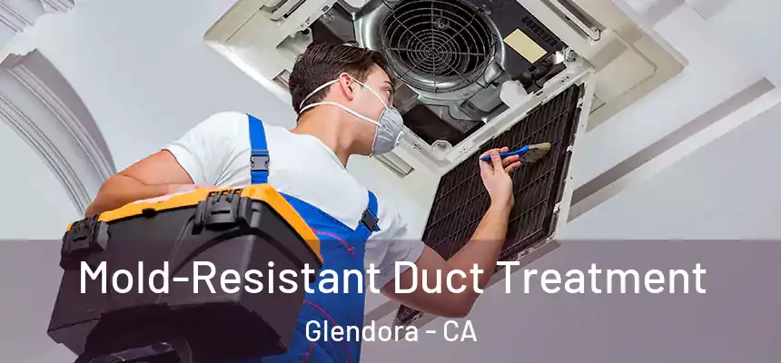  Mold-Resistant Duct Treatment Glendora - CA