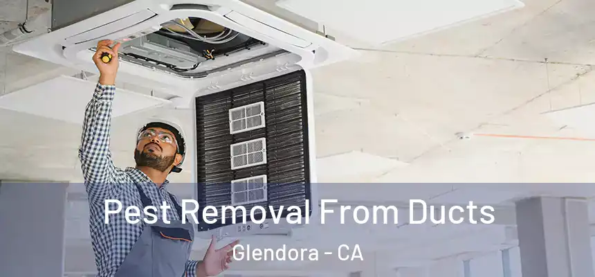  Pest Removal From Ducts Glendora - CA