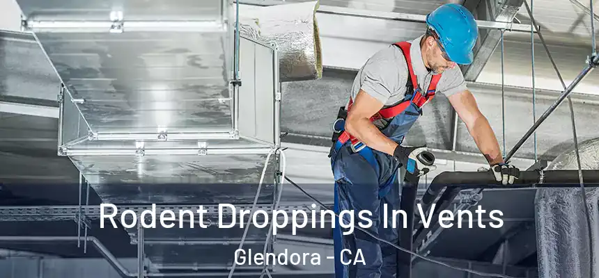  Rodent Droppings In Vents Glendora - CA