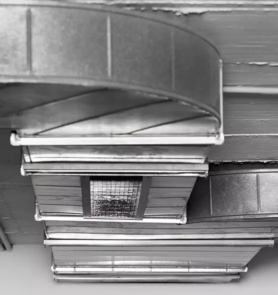 Professional Air Duct Pest Removal in Glendora, CA