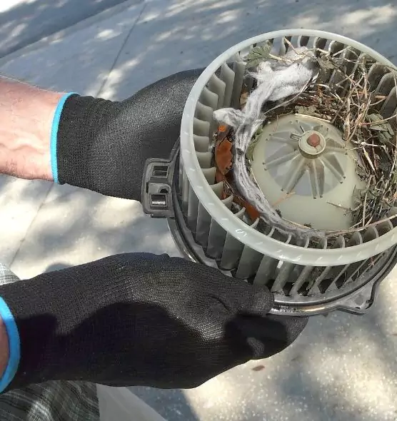 About Air Duct Rat Removal in Glendora, CA