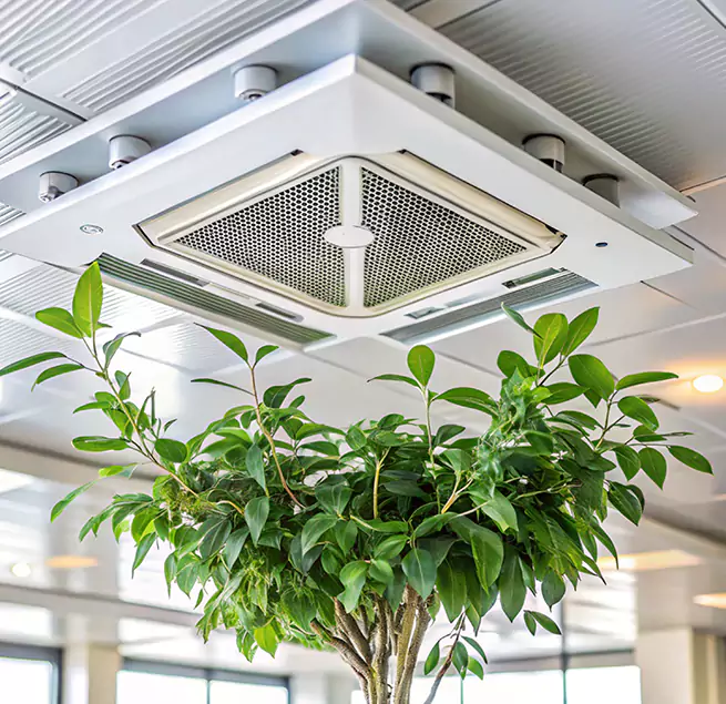 Why Homeowners & Businesses Trust Us in Glendora, CA